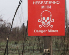 Разминирование в районе разведения войск в Донбассе: найдено 19 взрывоопасных предметов