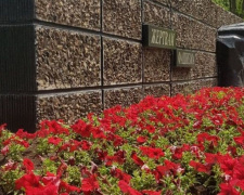 Петуния, герань, альтернатера:  Мариуполь продолжают украшать десятками тысяч цветов