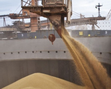 Україна веде перемовини з Туреччиною щодо експорту зерна через порти