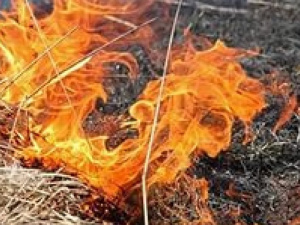 Из-за пожара на пустыре в Мариуполе едва не сгорели частные гаражи