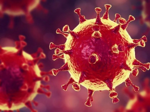 Сингапурские ученые выявили новые симптомы коронавируса