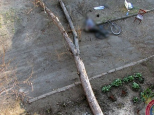В Донецкой области на велосипедиста упало дерево: парень погиб на месте