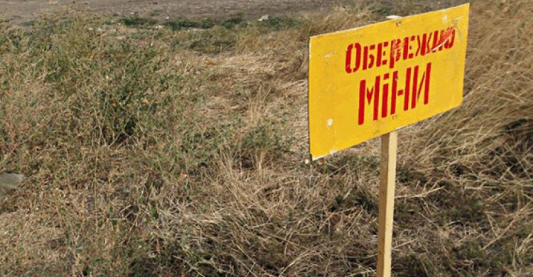Более 600 мирных жителей погибло на Донбассе из-за мин