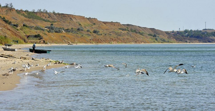 Фото: Приазовский рабочий