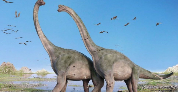 Динозавры в Мариуполе!